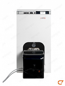 Котел комбинированный Protherm (Протерм) Бизон 35 NL