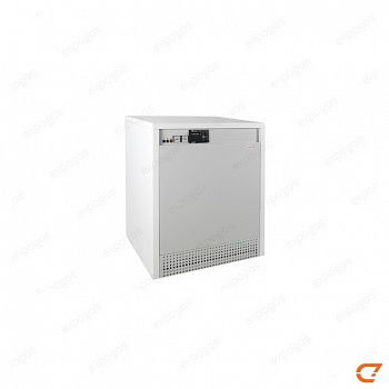 Котел газовый Protherm (Протерм) Гризли 100 КLО