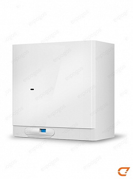 Котел газовый Thermona (Термона) THERM 20 LXZE.А5, настенный для отопления со встроенным бойлером, открытая камера